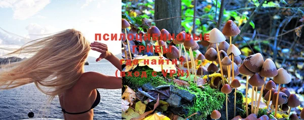 Альфа ПВП Арсеньев
