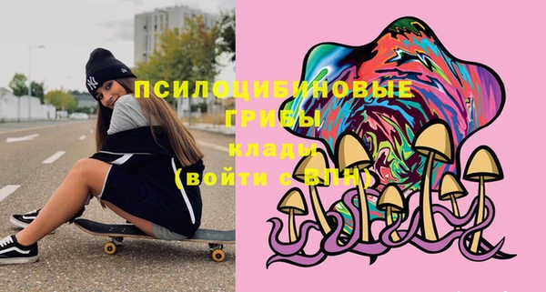 Альфа ПВП Арсеньев