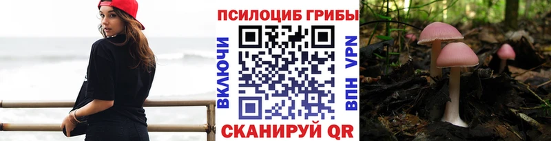 Купить закладки  Теберда  Галлюциногенные грибы ЛСД 
